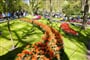 Foto - To nejlepší z Amsterdamu + KVĚTINOVÁ ZAHRADA KEUKENHOF