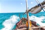 Foto - To nejlepší ze Zanzibaru + SAFARI V TANZANII + KOUPÁNÍ V INDICKÉM OCEÁNU