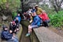 Foto - To nejlepší z Madeiry + HORSKÁ TURISTIKA + PLAVBA NA CHRÁNĚNÉ OSTROVY DESERTAS
