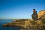 Foto - Silvestr v Sesimbře + NEJKRÁSNĚJŠÍ STEZKA ALGARVE + TRADIČNÍ KUCHYNĚ REGIONU