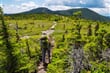 w-Appalachian Trail in Maine-shutterstock_1195345237