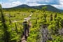 w-Appalachian Trail in Maine-shutterstock_1195345237