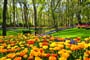 Foto - Velikonoční Amsterdam + KVĚTINOVÁ ZAHRADA KEUKENHOF + SLAVNÁ MUZEA