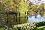 Foto - To nejlepší z Amsterdamu + KVĚTINOVÁ ZAHRADA KEUKENHOF