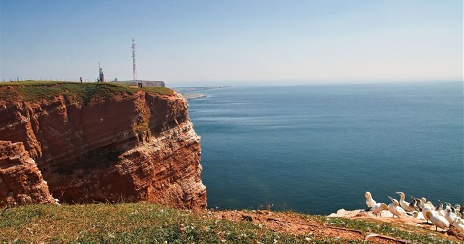 ostrov helgoland foto 21