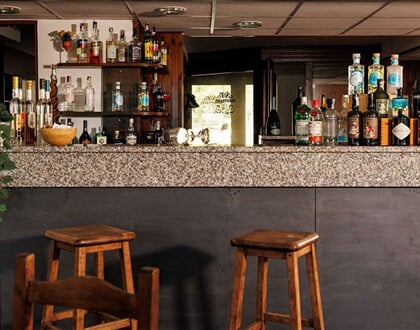 Hotel Printemps Aosta Gressan (4)
