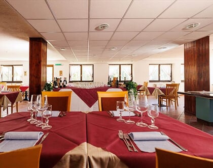 Hotel Printemps Aosta Gressan (8)