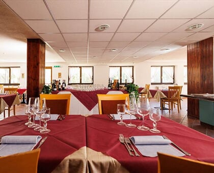 Hotel Printemps Aosta Gressan (8)
