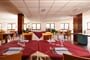 Hotel Printemps Aosta Gressan (8)