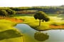Borovice Sueno Golf