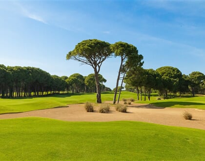 Golf Hotel Sueno Borovice