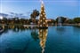 Foto - Adventní Málaga + VÁNOČNÍ SVĚTELNÁ BOTANICKÁ ZAHRADA