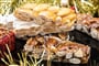 Foto - Adventní Málaga + VÁNOČNÍ SVĚTELNÁ BOTANICKÁ ZAHRADA