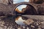 Foto - Severní Řecko + VÝSTUP NA BÁJNÝ OLYMP + TREK SOUTĚSKOU VIKOS