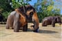 Foto - To nejlepší z Thajska + AYUTTHAYA + KOUPÁNÍ NA OSTROVĚ PHUKET