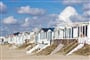 Foto - Holandské pobřeží na kole + AMSTERDAM + RODINNÁ KVĚTINOVÁ FARMA