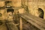 Foto - To nejlepší z Vietnamu + PLAVBA ZÁTOKOU HA LONG + PERLY SAIGONU