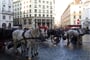 1000134362large_2188742
