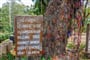 Foto - To nejlepší z Kambodže + TAJUPLNÉ CHRÁMY ANGKOR WAT + PLÁŽE OSTROVA KOH RONG