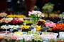 Foto - Velikonoční Amsterdam + KVĚTINOVÁ ZAHRADA KEUKENHOF + SLAVNÁ MUZEA