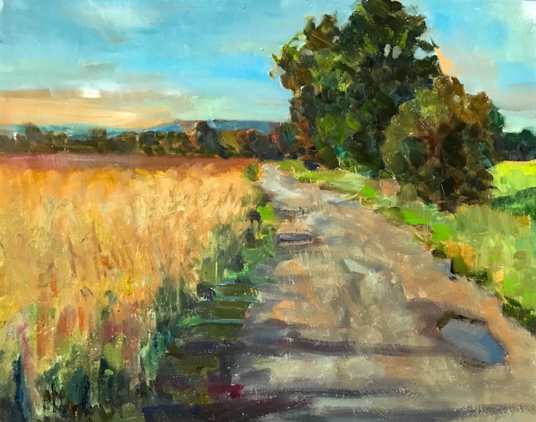 černovirska alej 40x30