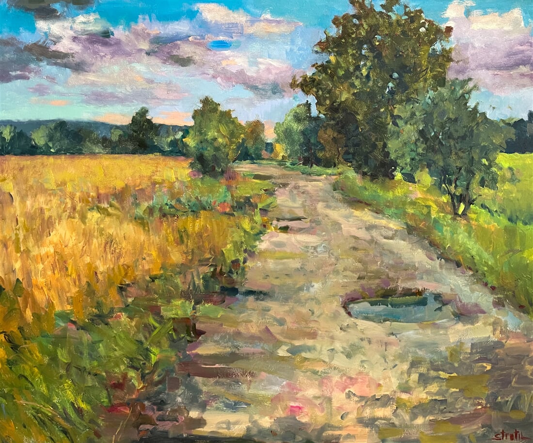 černovirska alej 120x100