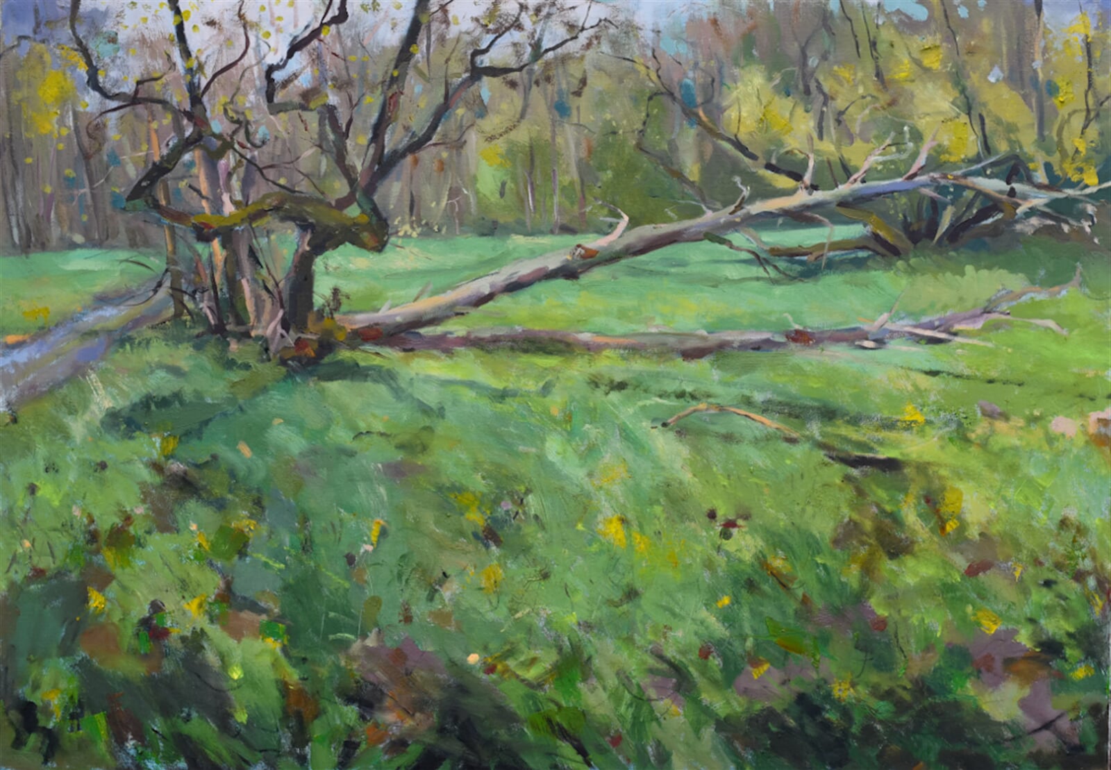 Michal Stratil: Černovírský les, 70 × 100 cm