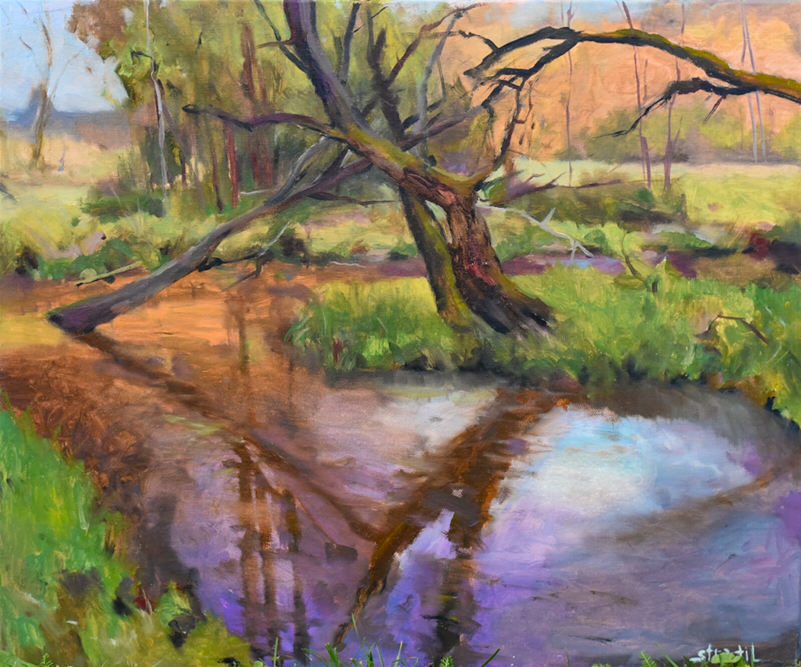 Michal Stratil: Domašov nad Bystřicí