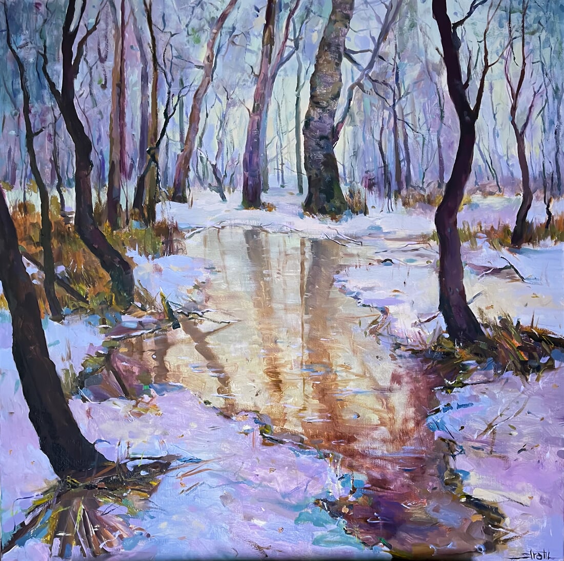 údolí Bystřice