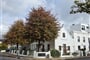 procházka vinařským centrem Stellenbosch - JAR