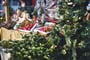 Foto - Adventní Málaga + VÁNOČNÍ SVĚTELNÁ BOTANICKÁ ZAHRADA