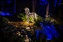 Foto - Adventní Málaga + VÁNOČNÍ SVĚTELNÁ BOTANICKÁ ZAHRADA