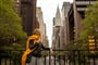 Foto - To nejlepší z New Yorku + PLAVBA K SOŠE SVOBODY + MODERNÍ ČTVRŤ HUDSON YARDS