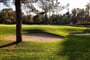 Golf Turecko Pasha Sultan