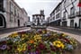 Foto - To nejlepší z ostrova Sao Miguel + TURISTIKA + OCHUTNÁVKA AZORSKÉHO ČAJE