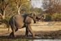 Foto - Namibie a Botswana + AFRICKÉ SAFARI + VIKTORIINY VODOPÁDY