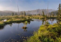 Šumava – Volary: Jezera, Horské Výhledy A Renesance