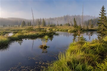 Šumava – Volary: Jezera, Horské Výhledy A Renesance