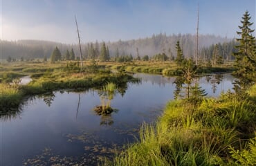 Šumava – Volary: Jezera, Horské Výhledy A Renesance