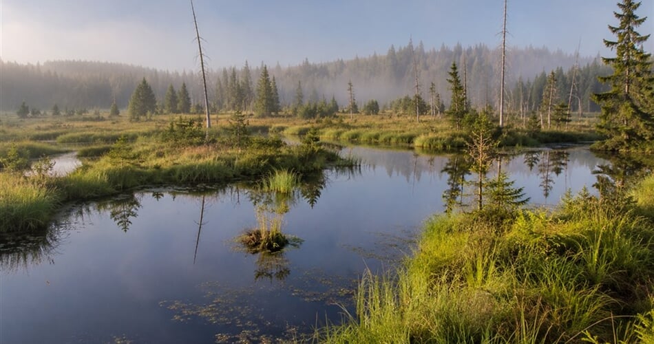 Národní park Šumava