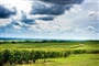 Foto - To nejlepší z Paříže + VINICE V CHAMPAGNE + REMEŠ