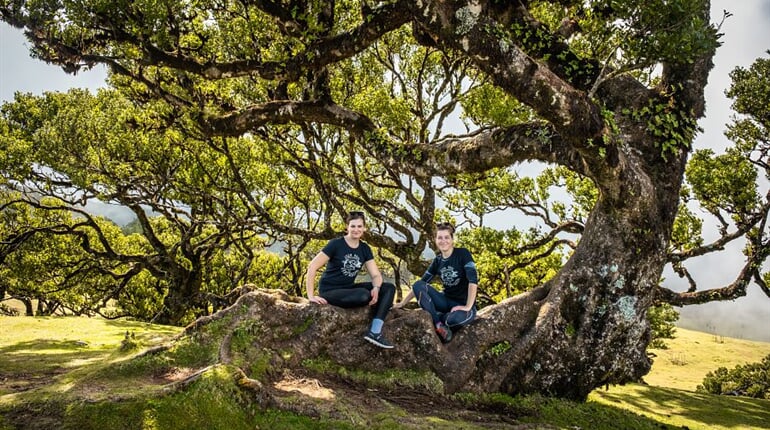 Foto - To nejlepší z Madeiry + OSTROVNÍ GASTRONOMIE + VÝLETNÍ PLAVBA NA PORTO SANTO