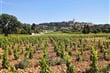 cyklistika v okolí Châteauneuf du Pape