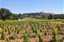 cyklistika v okolí Châteauneuf du Pape