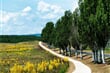 maďarská cyklostezka na poloostrově Tihany
