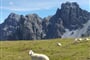 Foto - Innsbruck a okolí - Krása horských štítů nad Innsbruckem