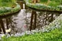 Květiny Keukenhof 