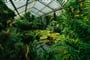 Foto - Londýn a Edinburgh + PANORAMATICKÁ JÍZDA VLAKEM NAPŘÍČ SKOTSKEM A ANGLIÍ