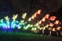 Foto - Adventní Amsterdam + ZAANSE SCHANS + HAAG