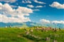 Foto - Okruh Arménií + JEZERO SEVAN + OCHUTNÁVKA KOŇAKU ARARAT A VÍNA